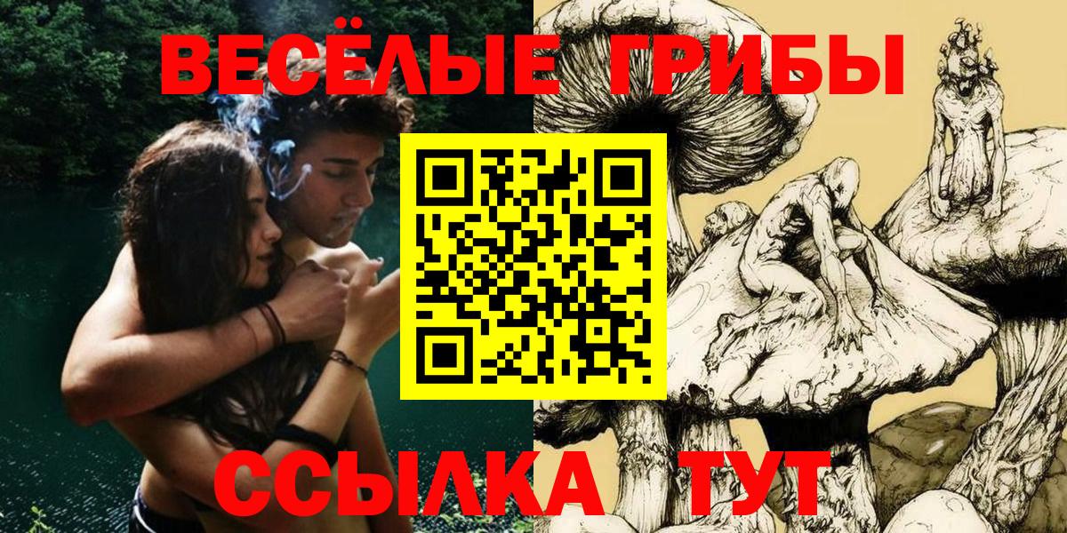 даркнет сайт  Галлюциногенные грибы Cubensis  Вход с VPN  Галлюциногенные грибы прущие грибы  Кингисепп 