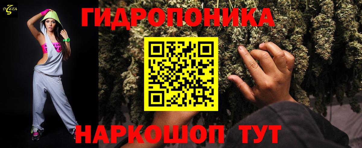 Кингисепп  МАРИХУАНА THC 21%  Вход с VPN  Бошки марихуана марихуана  Конопля SATIVA & INDICA 